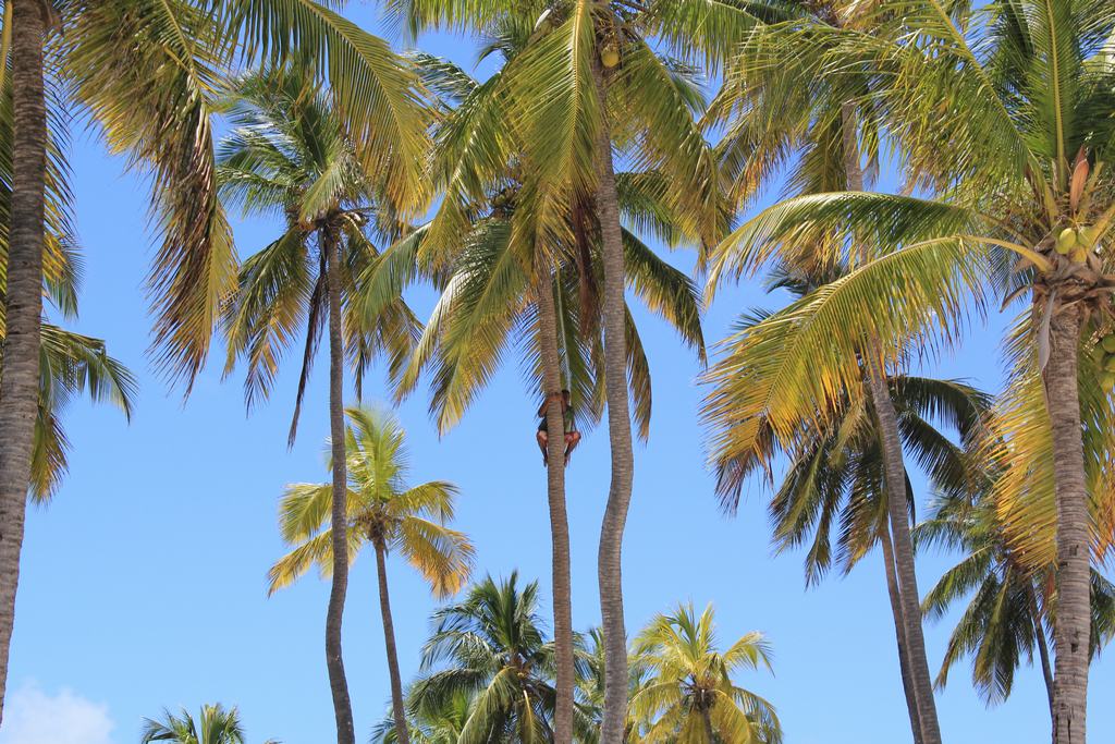 zanzibar beaches in tanzania