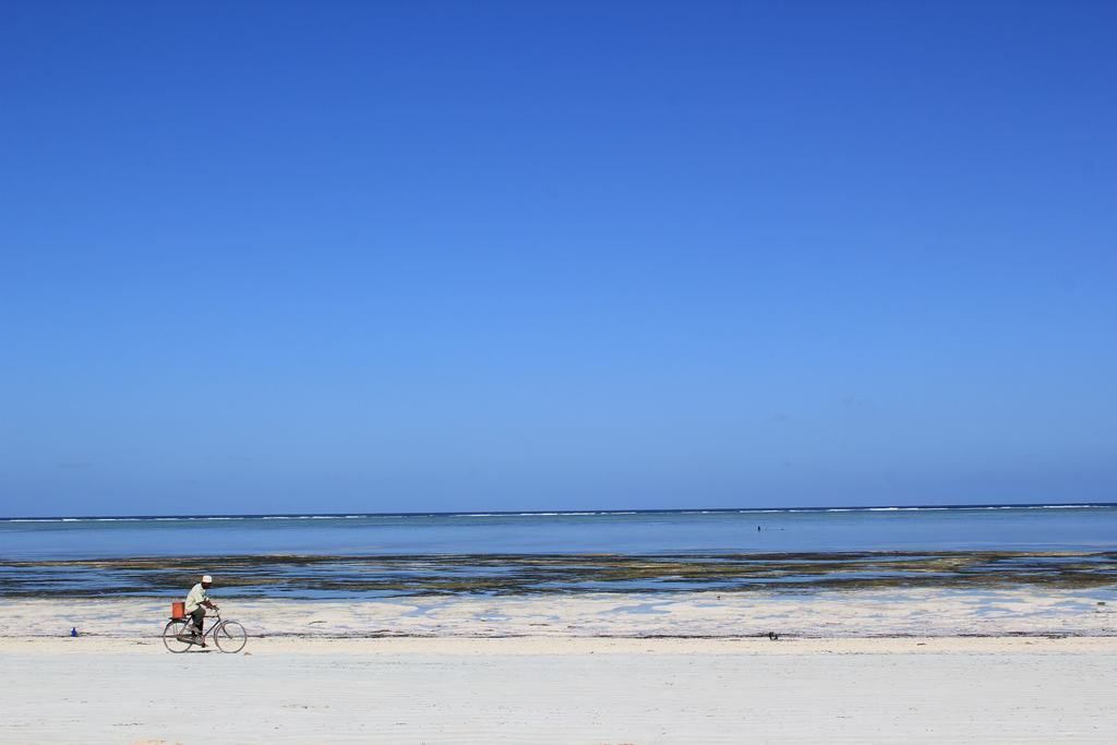 zanzibar beaches in tanzania