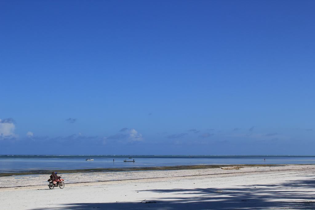 zanzibar beaches in tanzania