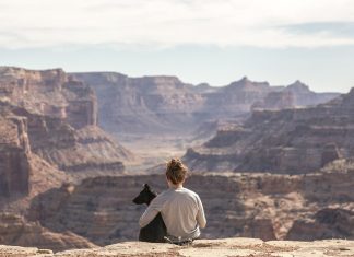 Expert Tips for traveling with pets