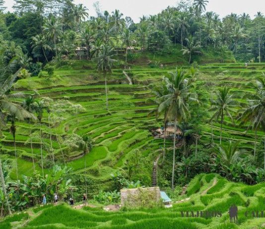 The 10 most common mistakes we make when we travel