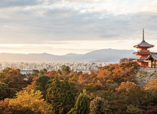 The best time to visit Japan for cherry blossoms, skiing, and more