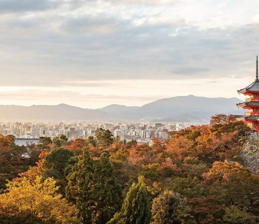 The best time to visit Japan for cherry blossoms, skiing, and more