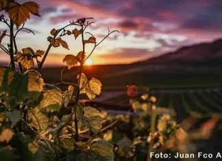 Types of accommodation in the Spanish Tuscany of Matarraña