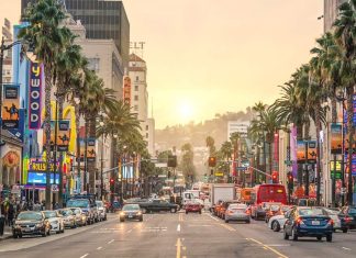 Walking the longest avenues in the world