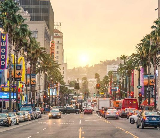 Walking the longest avenues in the world